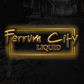 Company Feature: Part 3 – Ferrum City